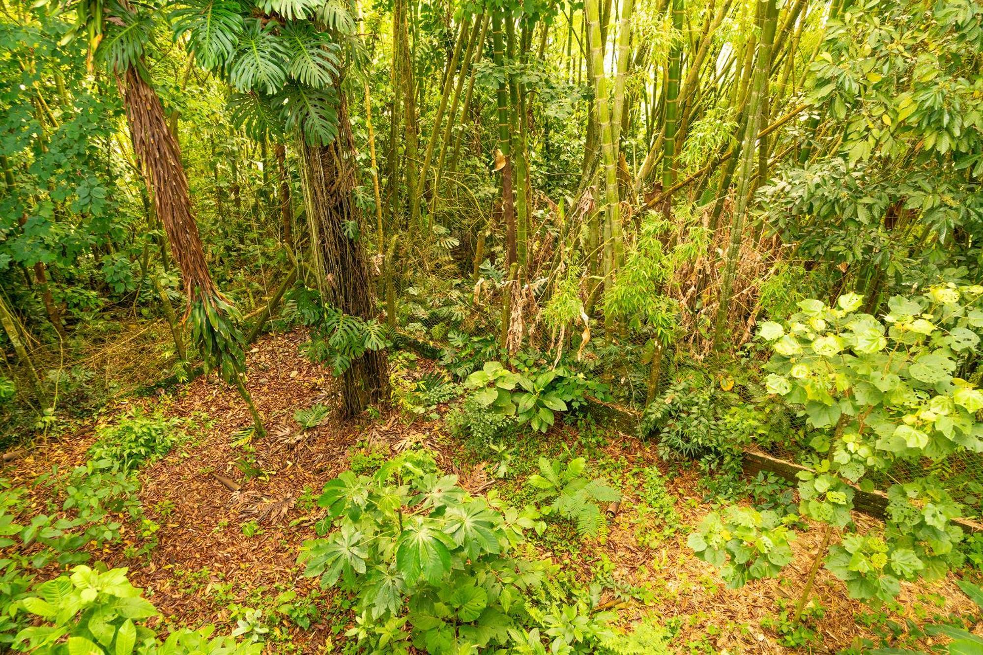 Aldea Sabatinga Villa Manizales Exterior photo