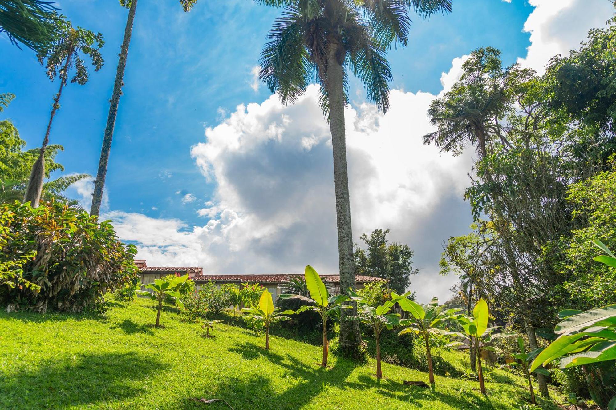 Aldea Sabatinga Villa Manizales Exterior photo