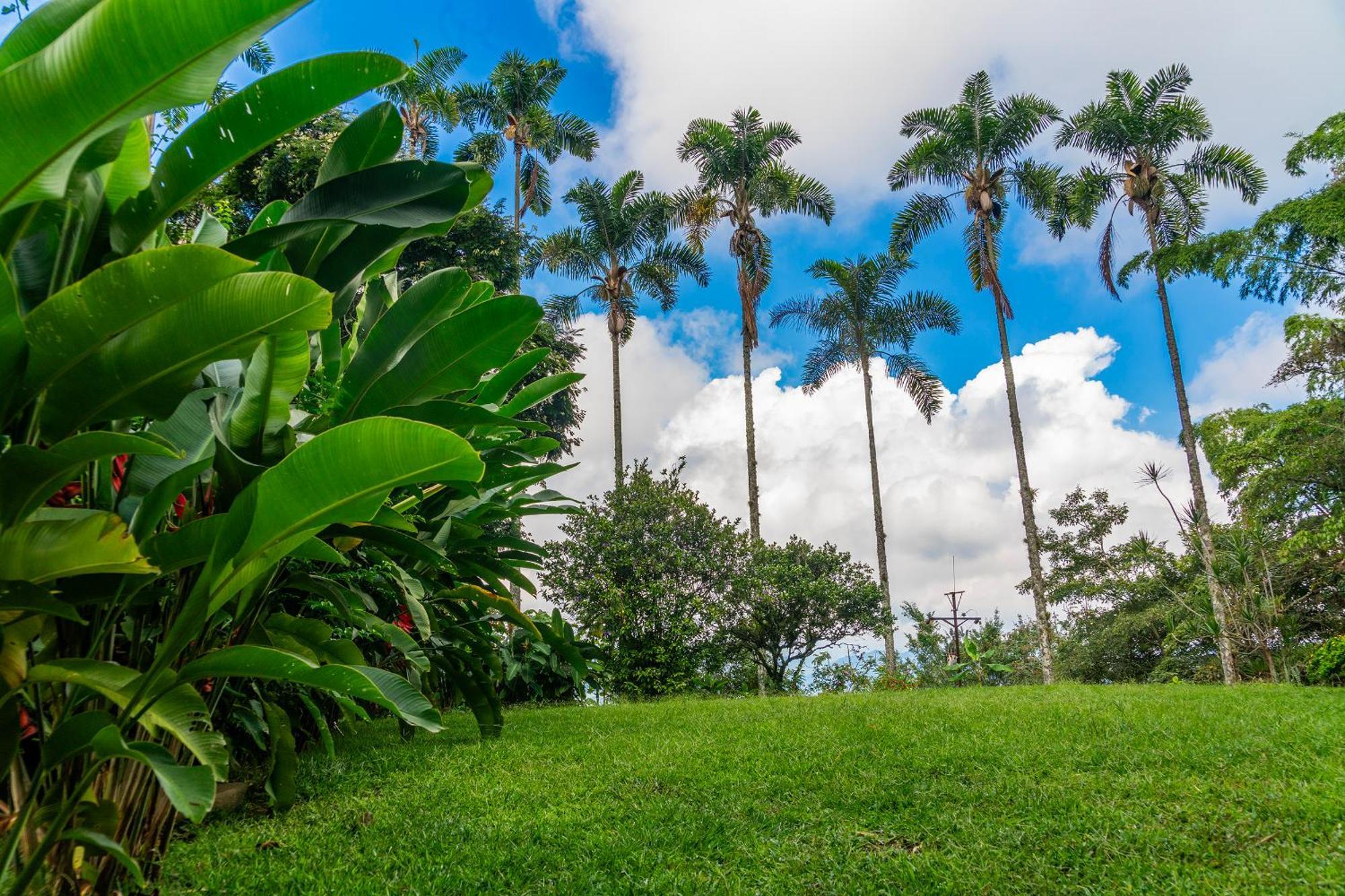 Aldea Sabatinga Villa Manizales Exterior photo